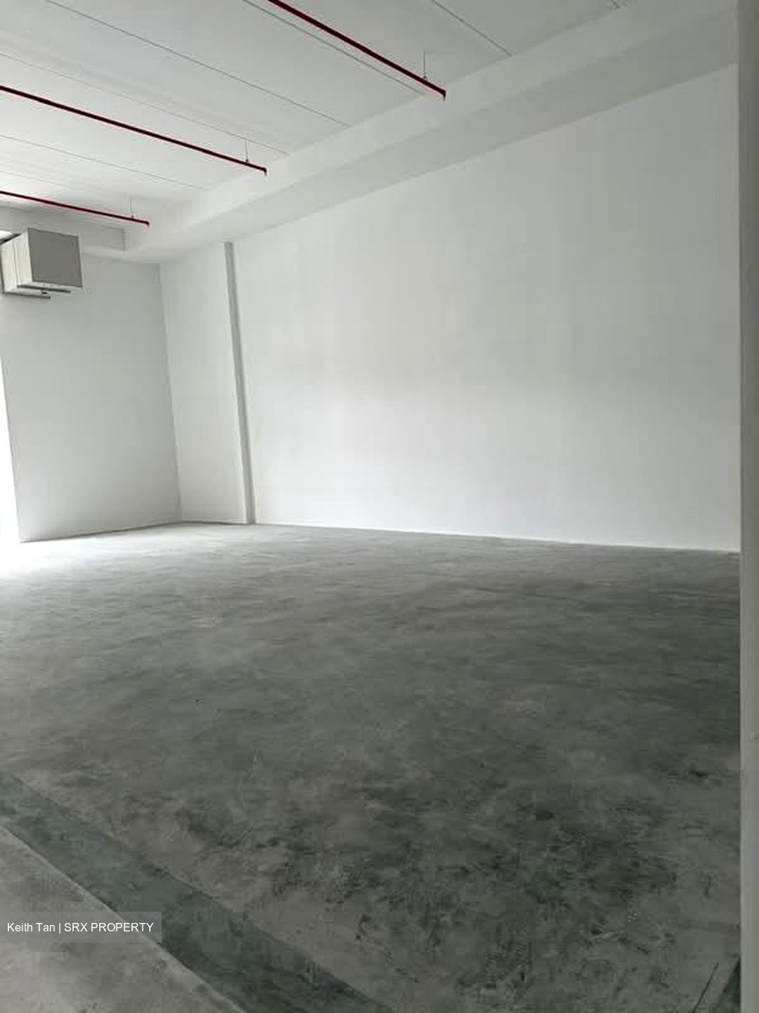 Ct Foodnex (D25), Factory #590446631